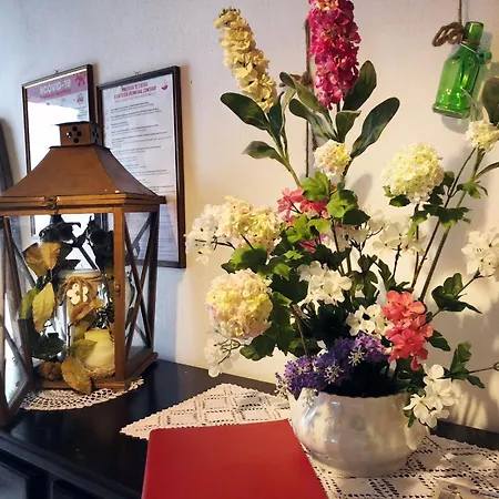 Bed & Breakfast B&B La Bouganville Di Serena Fondi