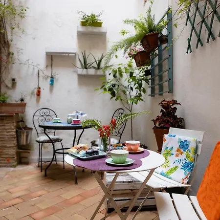Bed & Breakfast B&B La Bouganville Di Serena 3*
